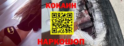 индика Камышлов