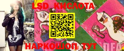 индика Камышлов