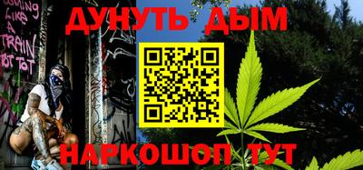 индика Камышлов