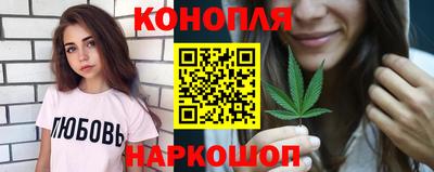 индика Камышлов