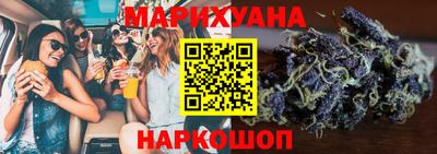 индика Камышлов