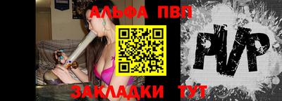 индика Камышлов