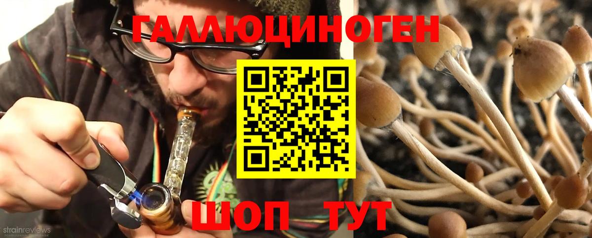 Псилоцибиновые грибы Magic Shrooms  Галлюциногенные грибы Cubensis  Вход с VPN  Ярославль 