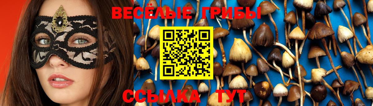 Псилоцибиновые грибы Cubensis Ярославль